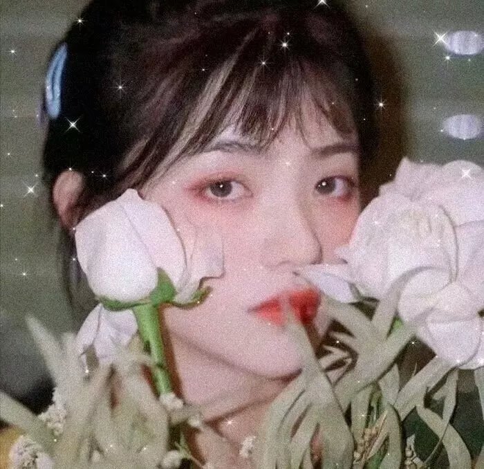 山上的松树